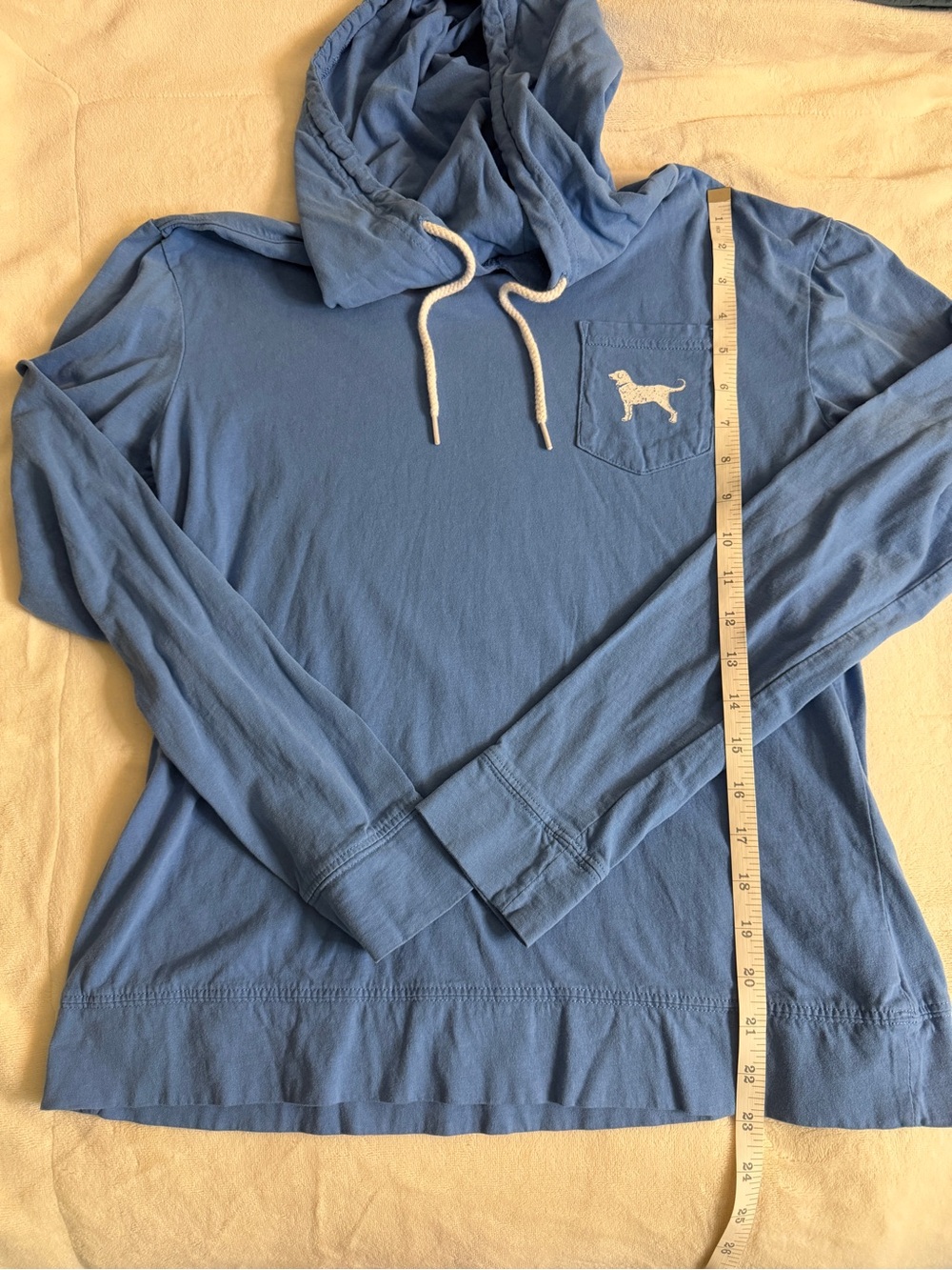 The Black Dog Pullover Hoodie in Light Blue with Pocket Logo